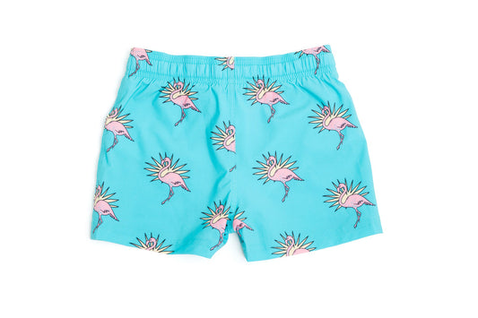 Boys Swim, Charleston