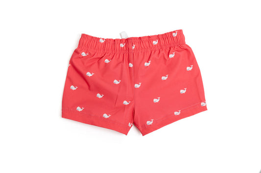 Men Swim Trunk, Oh Whale