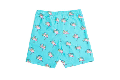 Men Swim Trunk, Charleston